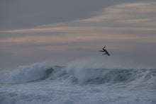 Lade das Bild in den Galerie-Viewer, ION Surfboard Pads Stripe 2pcs (OL) 2020