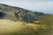 Cargar imagen en el visor de la galería, ION Bikeshorts Traze X WMS 2021