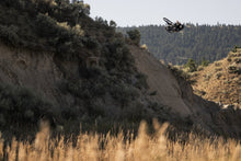 Cargar imagen en el visor de la galería, ION MTB Shorts Scrub Men 2024