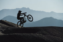 Lade das Bild in den Galerie-Viewer, Herren MTB Jersey Seek Amp langarm