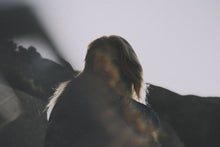 Lade das Bild in den Galerie-Viewer, Damen Neoprenanzug Amaze Shorty 2.0 Langarm Back Zip