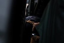 Lade das Bild in den Galerie-Viewer, action_shot