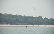Lade das Bild in den Galerie-Viewer, action_shot