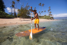 Load image into Gallery viewer, Fanatic Bamboo Carbon 50 Adjustable 2022