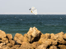 Carica l'immagine nel visualizzatore di Gallery, action_shot