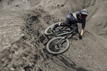 Lade das Bild in den Galerie-Viewer, MTB Shorts Seek
