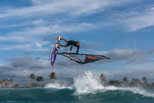 Load image into Gallery viewer, Fanatic Grip TE Mosquito Edition 2021