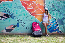 Cargar imagen en el visor de la galería, Fanatic Diamond Air 2024